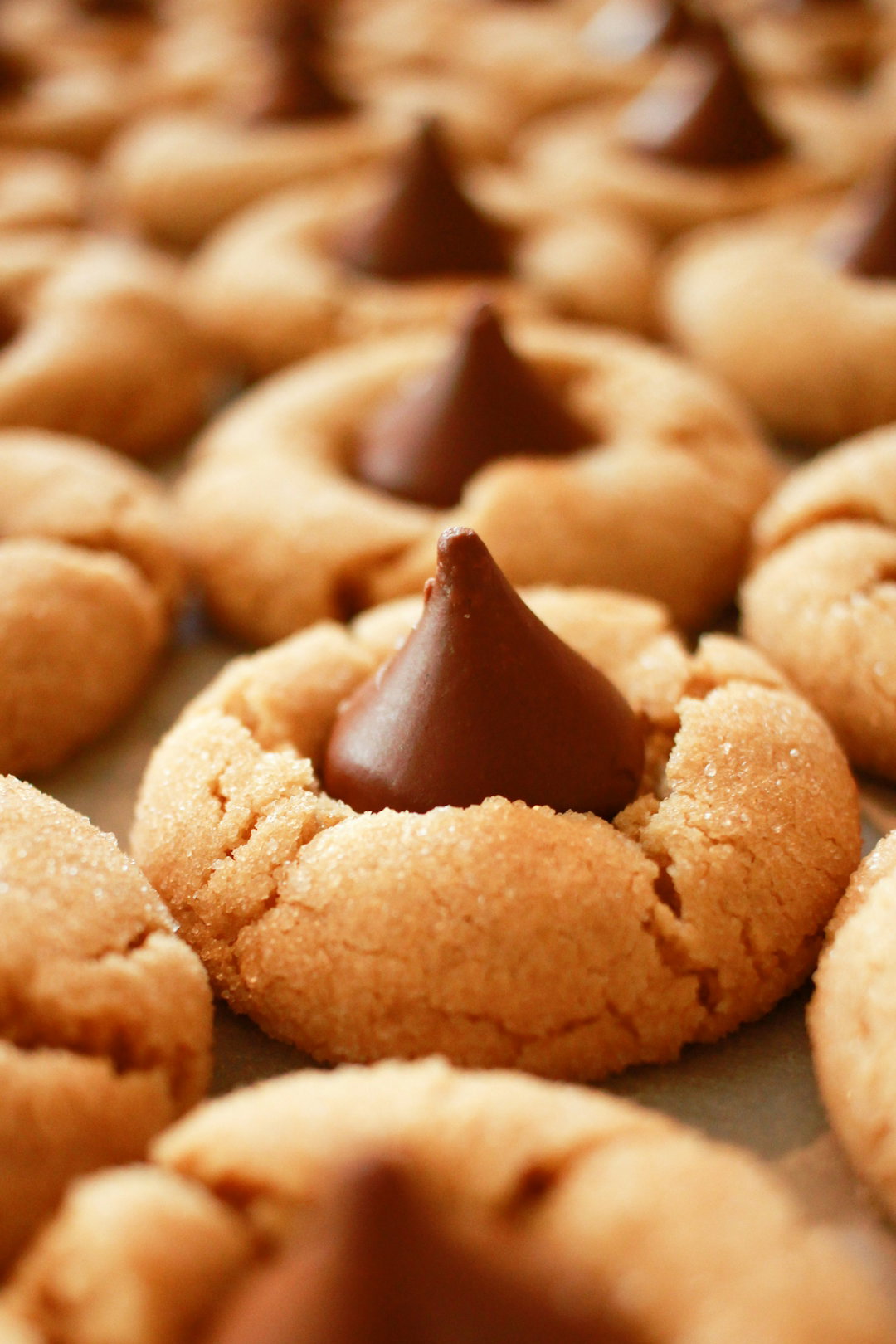 close-photography-of-biscuits-with-chocolates.jpg close photography of biscuits with chocolates